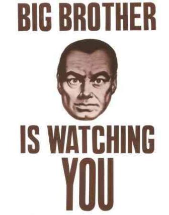 BIGBROTHER348.JPG - 17.41 kB 