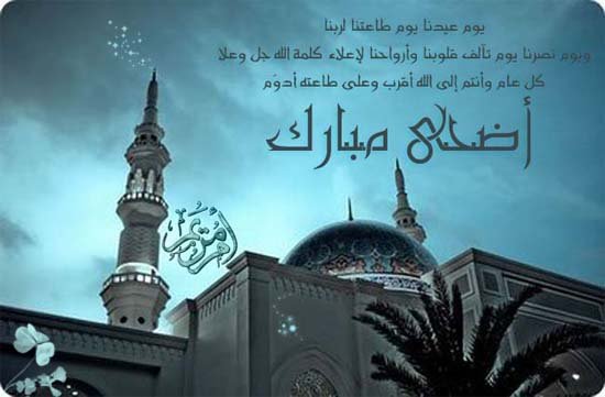 adha33013.jpg - 30.77 kB 