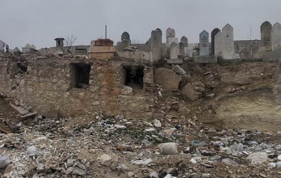 ahalapda112681.jpg