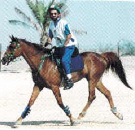 alshekhrashed.JPG - 14.10 kB 