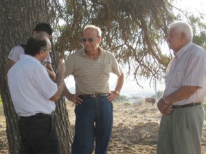 aseel3973.jpg - 25.21 kB 