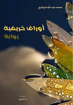 clip_image002_008bf.jpg - 19.88 kB 