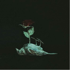clip_image002_46915.png