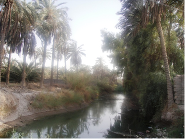fesalya3462.png - 201.68 kB 