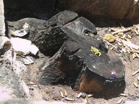 joyosi306.JPG - 172.30 kB 
