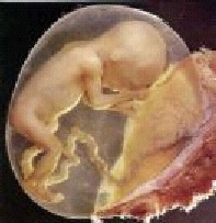 nathratmaot03075.jpg - 14.22 kB 