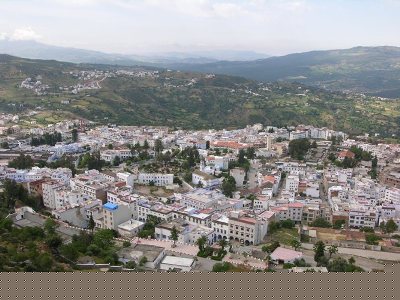 shefshawn275.jpg - 37.25 kB 